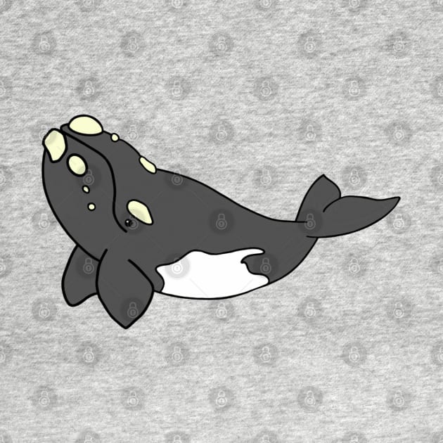 Cartoon Southern Right Whale by Marina Rehder